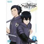 テレビアニメの映像ソフト