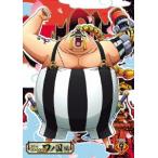 【送料無料】[DVD]/アニメ/ONE PIECE ワンピース 20THシーズン ワノ国編 PIECE.9
