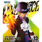 【送料無料】[Blu-ray]/アニメ/ONE PIECE ワンピース 17THシーズン ドレスローザ編 piece.13