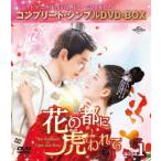 【送料無料】[DVD]/TVドラマ/花の都に虎(とら)われて〜The Romance of Tiger and Rose〜 BOX 1 コンプリート・シンプルDVD-BOX 5 000円シリーズ [期間限