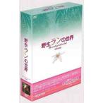 [ бесплатная доставка ][DVD]/ хобби образование /. сырой Ran. мир DVD-BOX
