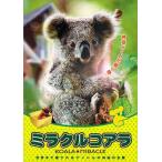 [ бесплатная доставка ][DVD]/ документальный / miracle коала 