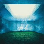 【送料無料】[CD]/Nothing's Carved In Stone/MAZE