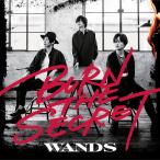 【送料無料】[CD]/WANDS/BURN THE SECRET [通常盤]