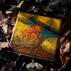 �y���������z[CD]/�J�オ��̂����������/Leave(s)