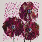 [CD]/GO TO THE BEDS/柏木由紀なりのGO TO THE BEDS -TRUE SONG-