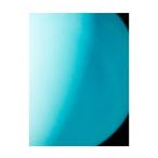 [CD]/LILI LIMIT/LIVING ROOM EP [通常盤]
