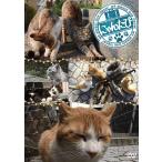 [ бесплатная доставка ][DVD]/ варьете /.....