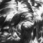 【送料無料】[CD]/CARRE/GREY SCALE