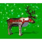 [CD]/オムニバス/Let It Be Xmas