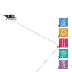 【送料無料】[CD]/vistlip/SENSE 【vister】 [CD+DVD]