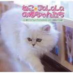 [DVD]/ хобби образование /[..*JaLaLa]. кошка Chan ..