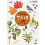 [ бесплатная доставка ][книга@/ журнал ]/.. цветок san . иллюстрированная книга дерево. реальный .. лист / Hasegawa . самец / работа ( монография * Mucc )