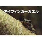 [книга@/ журнал ]/ I палец ga L ( естествознание бумажные декорации серии )/ красный дерево .../ текст Китадзима герой / фотография ( детская книга )