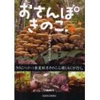 [книга@/ журнал ]/. san ... ../ камень ..[yosi]/ работа ( монография * Mucc )