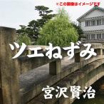 [オーディオブックCD] 宮沢賢治 03「ツェねずみ」/宮沢賢治(CD)