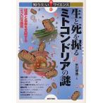 [本/雑誌]/生と死を握るミトコンドリアの謎 健康と長寿を支配するミクロな器官 (知りたい!サイエンス)/米川博通/著(単行本・ムック)
