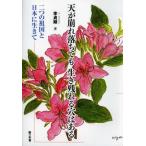 [ бесплатная доставка ][книга@/ журнал ]/ небо ... падение . сырой . осталось .. дыра. есть 2 .. родина . Япония . сырой ../.. последовательность / работа ( монография *m