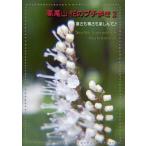 [本/雑誌]/高尾山 花のプチ歩き ふうか/〔著〕(単行本・ムック)