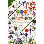 [本/雑誌]/散歩で見かける野の花・野草 春の野の花・野草 夏の野の花・野草 秋/冬の野の花・野草/金田一/著(単行本・ムック)