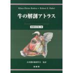 [ бесплатная доставка ][книга@/ журнал ]/ корова. анатомия Atlas /. название :Atlas der Anatomie des Rindes. название :Bovine Anatomy. работа больше . no. 2 версия. письменный перевод /Klaus-DieterB