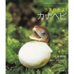 [книга@/ журнал ]/.....! kana змея (...... кимоно .......)/.. Taro / фотография маленький криптомерия . клей / структура * документ ( детская книга )