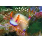 [книга@/ журнал ]/ красивый тайна .umi корова / сейчас книга@./ фотография * документ ( монография * Mucc )