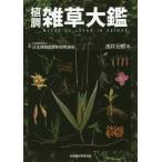 [ бесплатная доставка ][книга@/ журнал ]/. style .. большой ./.. изначальный ./ работа 