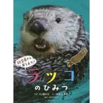 【送料無料】[本/雑誌]/ラッコのひ