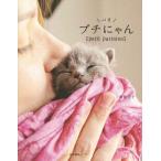 [книга@/ журнал ]/ маленький Париж .../ sake шт ../ работа * фотосъемка 