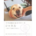 [книга@/ журнал ]/ внизу половина . перемещение .. Sera pi- собака Chanel смягчение уход болезнь .. ангел ../ Aoki ./..