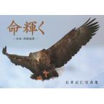 [ бесплатная доставка ][книга@/ журнал ]/ жизнь светит . пол * Кусиро город . необогащённая руда . правильный . фотоальбом / Ishii правильный ./( фотосъемка )