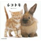 [книга@/ журнал ]/ кошка tomo/ Afro / фотография 