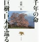【送料無料】[本/雑誌]/千年の命巨樹・巨木を巡る/高橋弘/著