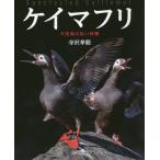 [ бесплатная доставка ][книга@/ журнал ]/ Kei муфта li небо . остров. ..../ храм .../ работа 