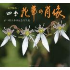 [ бесплатная доставка ][книга@/ журнал ]/ цветок .. . изображение сердце ... 4 сезон Yamaguchi Британия Хара зонт . память фотоальбом / Yamaguchi Британия Хара / работа 