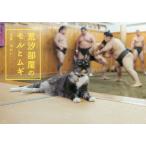 [本/雑誌]/荒汐部屋のモルとムギ/ゆかい/写真