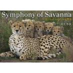 [ бесплатная доставка ][книга@/ журнал ]/Symphony of Savanna/ Inoue зима ./ работа 