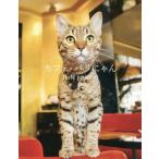 [книга@/ журнал ]/ Cafe * Париж .../ sake шт ../ работа * фотосъемка 