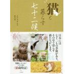 [книга@/ журнал ]/ кошка .... 7 10 2 ./... .../ работа основа ./ работа 