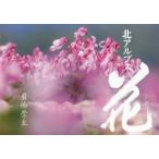 [ бесплатная доставка ][книга@/ журнал ]/ север Alps цветок / скала .../ работа 