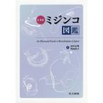 [ бесплатная доставка ][книга@/ журнал ]/ Япония производство mi Gin ko иллюстрированная книга / рисовое поле средний правильный Akira / работа . рисовое поле прямой ./ работа 