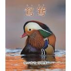 [ бесплатная доставка ][книга@/ журнал ]/.. Fukuda .. фотоальбом / Fukuda ../ работа 