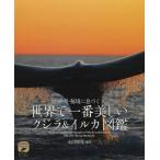 [書籍とのゆうメール同梱不可]/【送料無料選択可】[本/雑誌]/絶景・秘境に息づく世界で一番美しいクジラ&イルカ図鑑 (ネイチャー・ミュージアム)/水