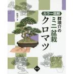 [книга@/ журнал ]/ группа ... мини бонсай черный matsu цвет иллюстрация / группа ../ работа 