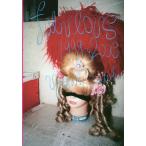 [ бесплатная доставка ][книга@/ журнал ]/fabulous 1999-2006/. глициния ../ работа 