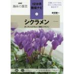 [書籍のゆうメール同梱は2冊まで]/[本/雑誌]/シクラメン ガーデンシクラメン原種シクラメン (NHK趣味の園芸 12か月栽培ナビ 11)/吉田健一