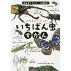 [книга@/ журнал ]/.....kn. .... насекомое ... насекомое .. номер 1...!/.....kn/ работа 