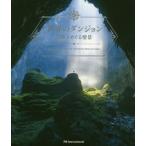 【送料無料】[本/雑誌]/世界のダンジョン 冒険をめぐる情景/パイインターナショナ編著