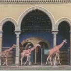 【送料無料】[本/雑誌]/世界の美しい動物園と水族館/パイインターナショナ編著